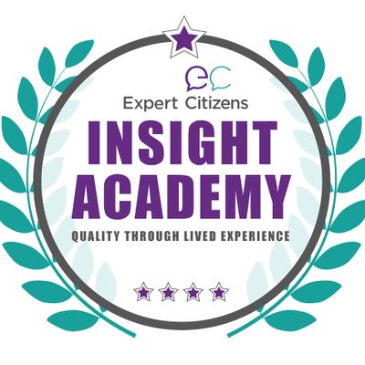 INSIGHT Academy