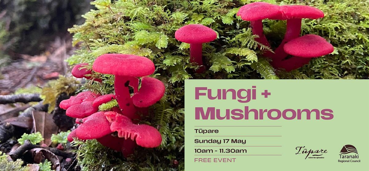 Fungi + Mushrooms: Walk and talk