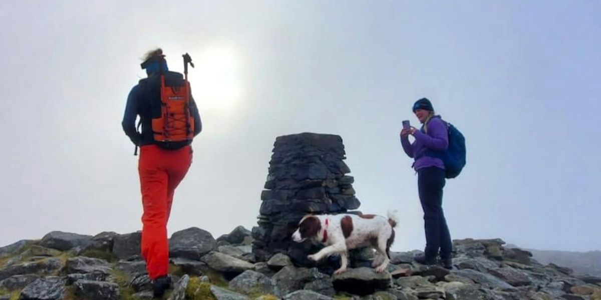 Explore the Wild Rhinogs