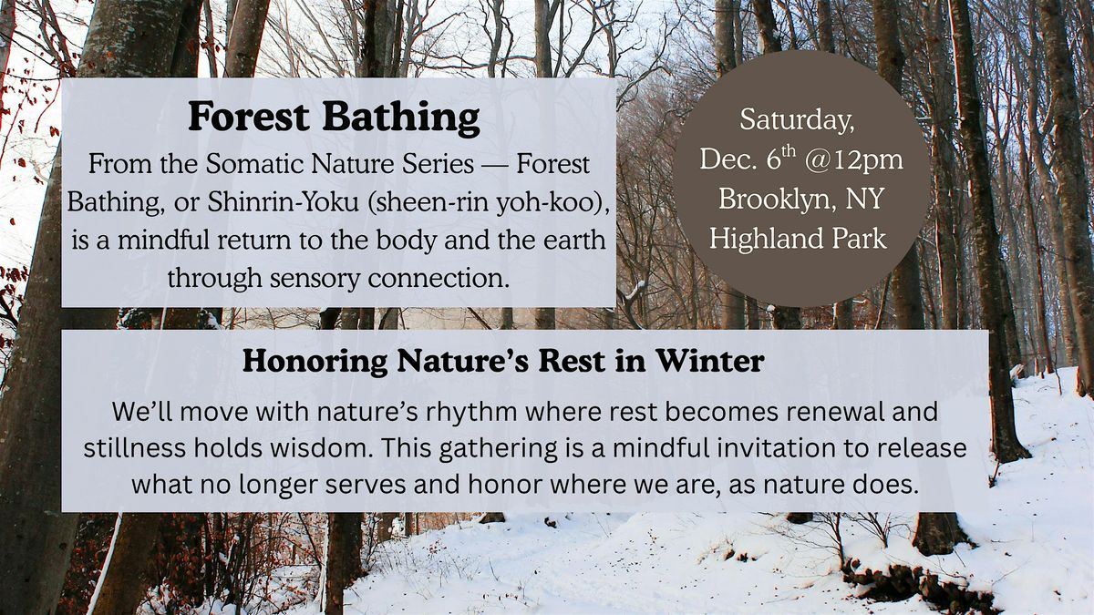 Winter Forest Bathing at Highland Park\/ Ridgewood Reservoir