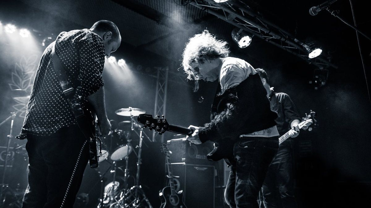 The Cureheads + Siouxsie and the Budgiees