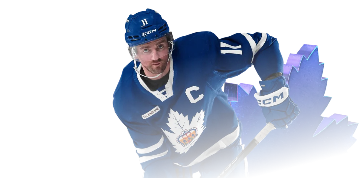 Parking Iowa Wild at Toronto Marlies