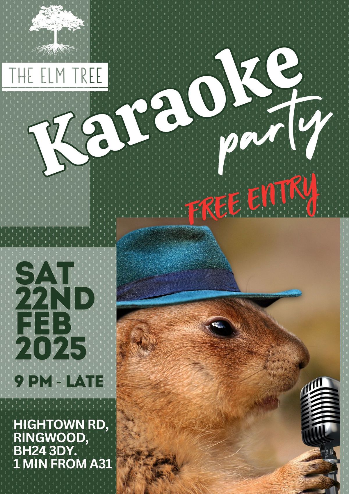 Karaoke Party at The Elm Tree  22nd Feb from 9.00pm