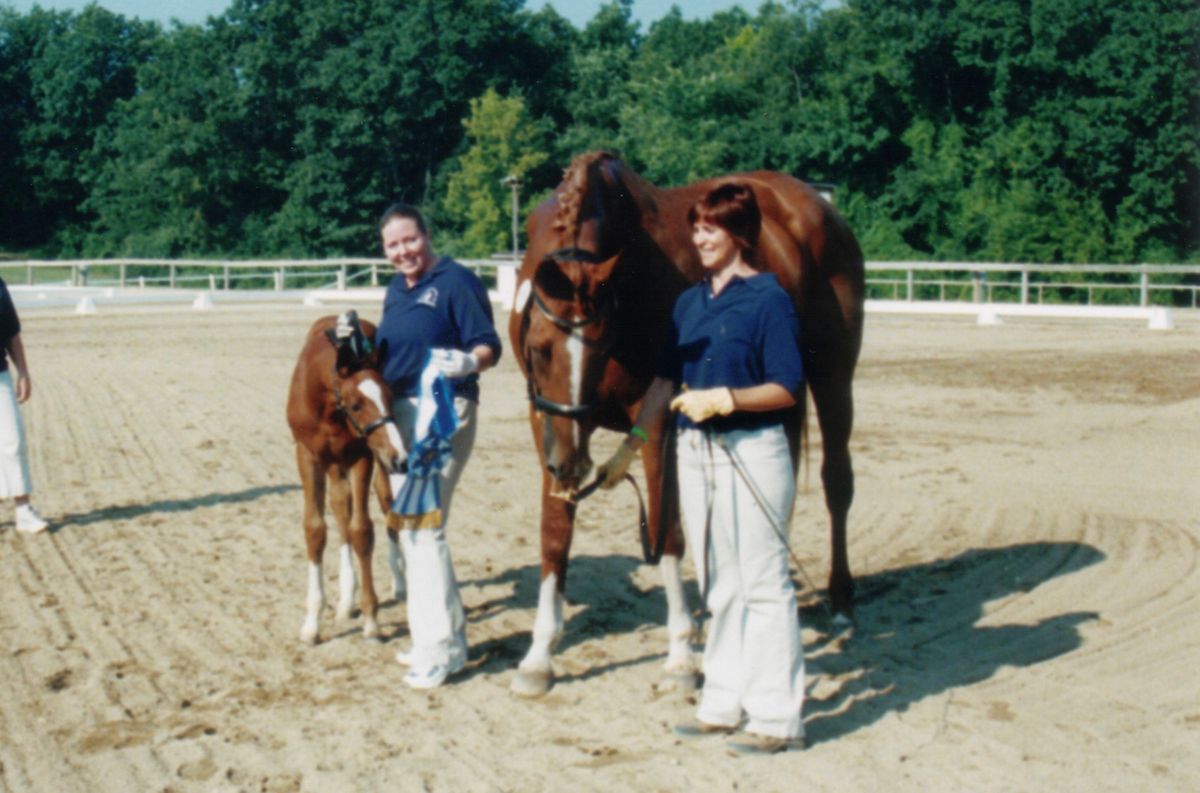 Unmounted Social Evening - Evaluating Horses for Sport: Conformation & Movement