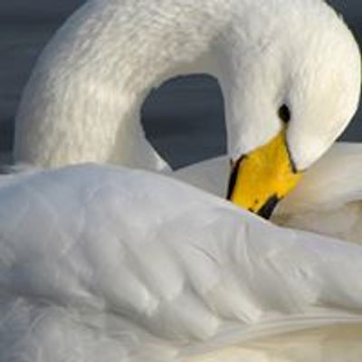 Seven Lochs Wetland Park