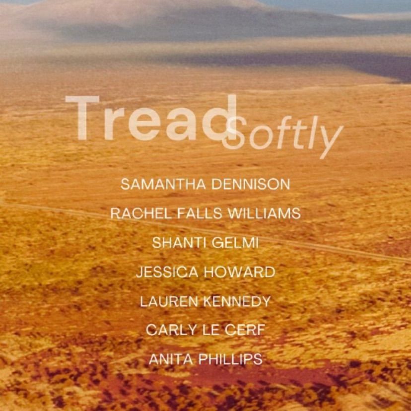 Tread Softly| Group Show & Book Launch