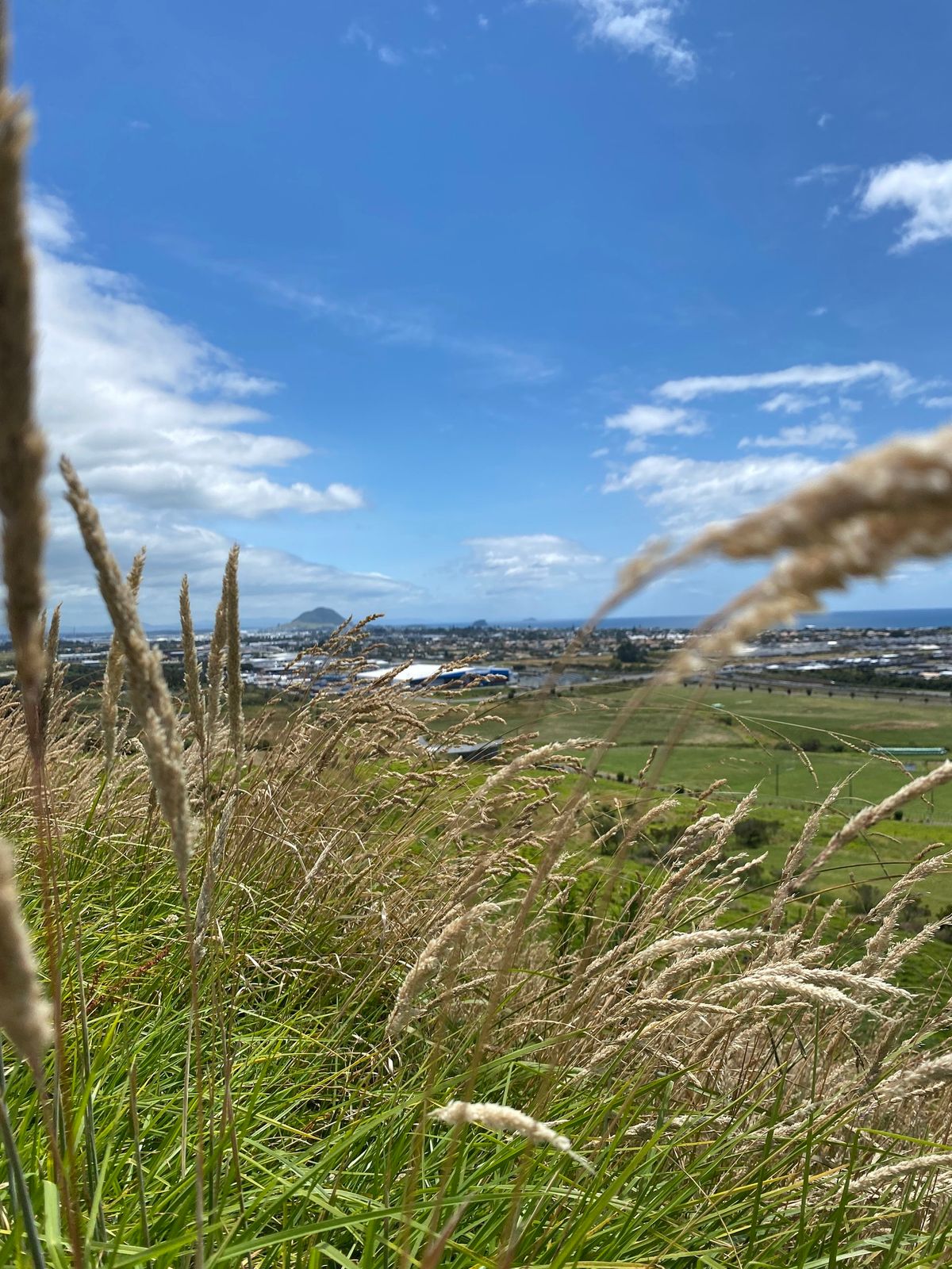 25th Whakamoemiti 2025, Tauranga