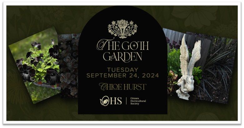 OHS Presents: The Goth Garden, with Chloe Hurst