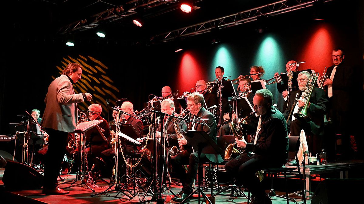 Koncert med P. J. Swingband - pris kun 295,-