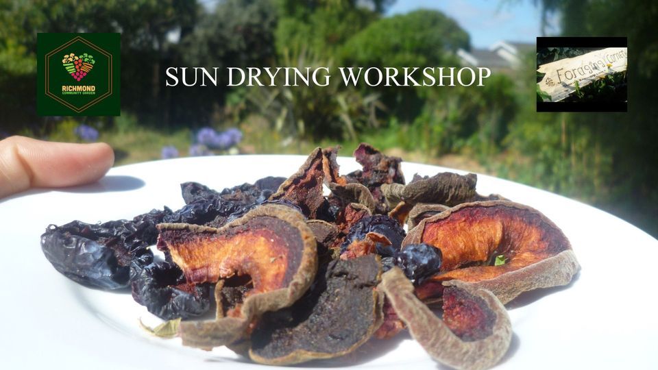 Sun Drying Workshop + Potluck + the whole day of unique workshops