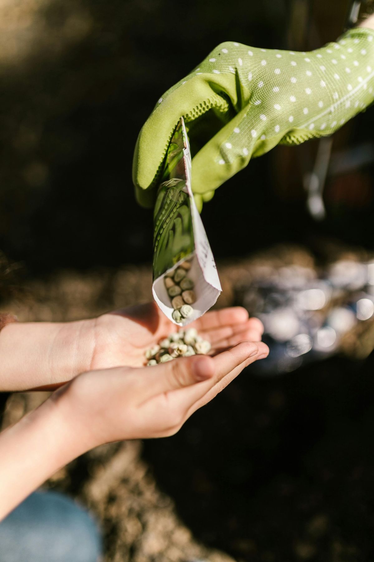 Propagating Native Plants from Seed: Workshop with Jim Sirch