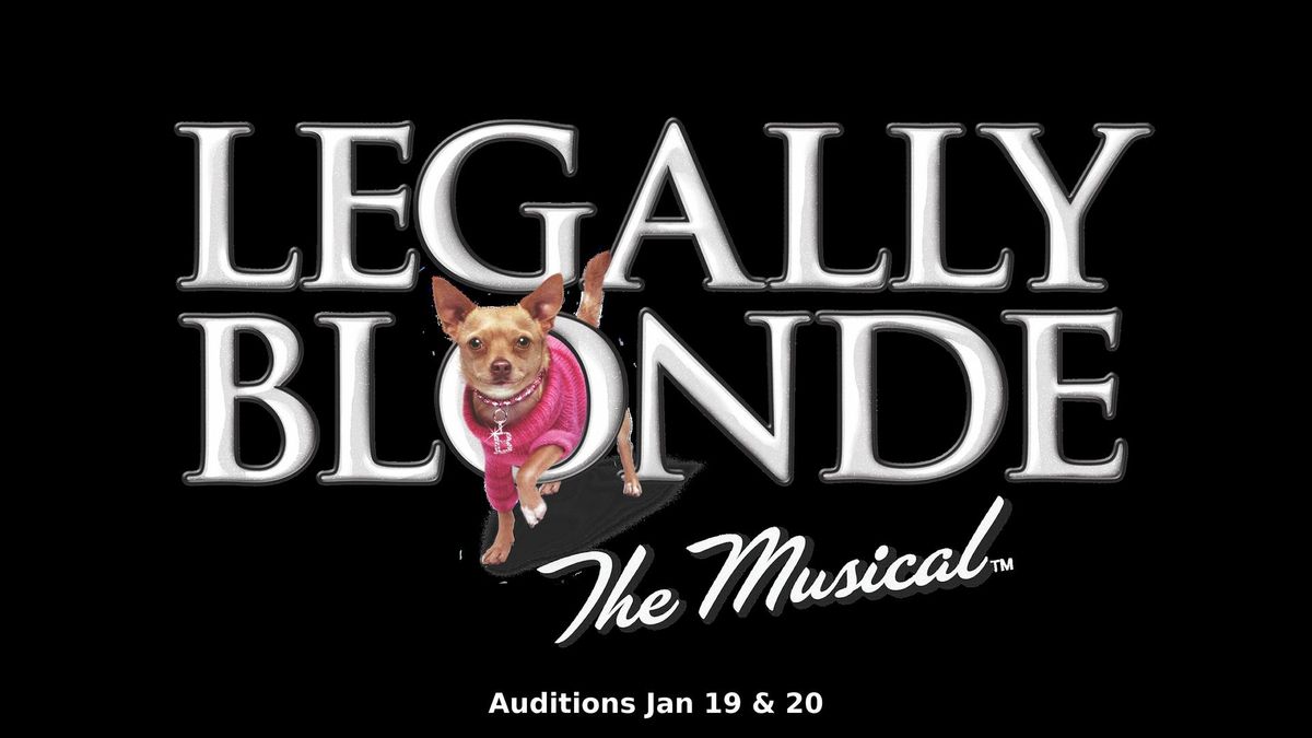 Auditions - Legally Blonde 