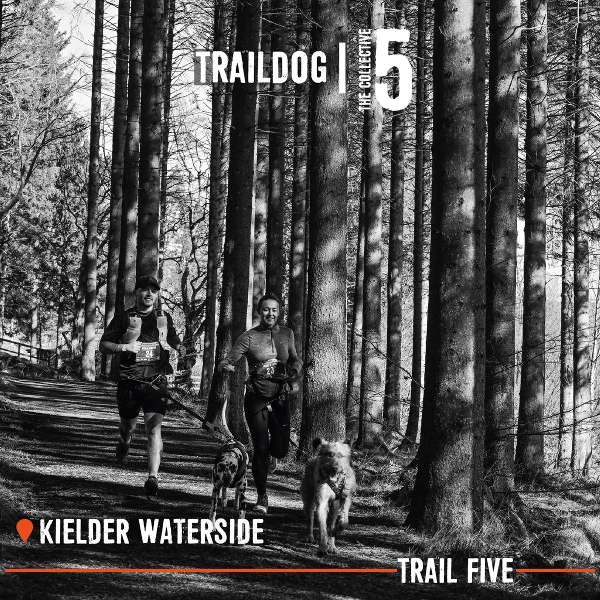 TRAILDOG The Collective \/\/ Kielder Waterside