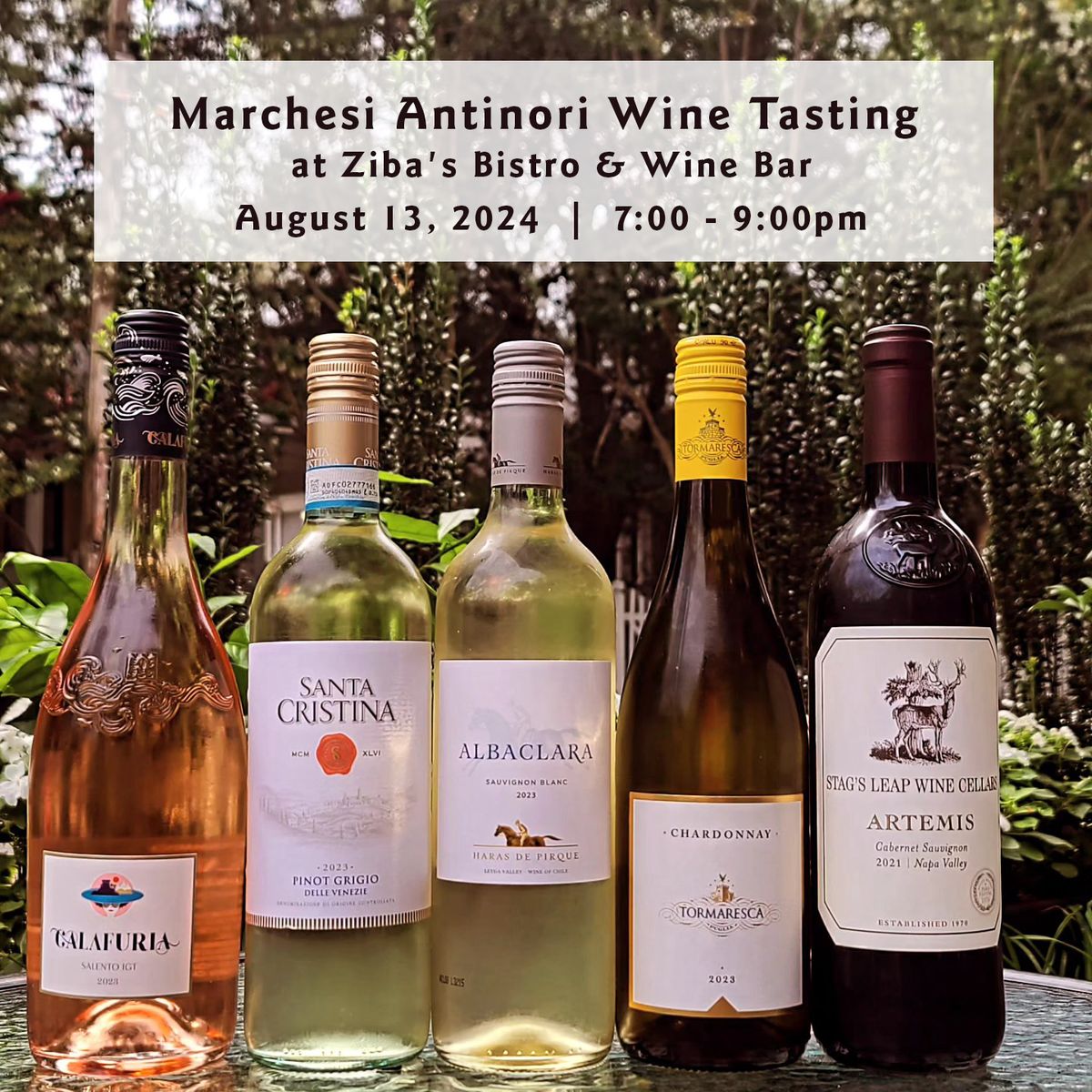 Marchesi Antinori Wine Tasting at Ziba's Bistro & Wine Bar