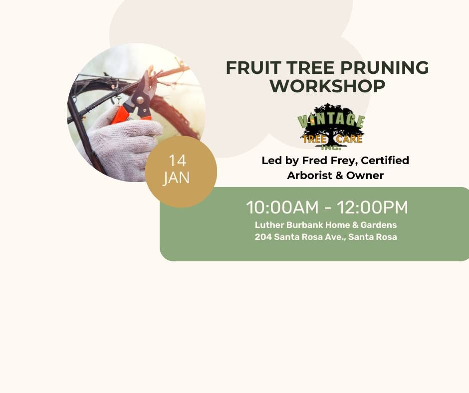 Winter fruit tree pruning workshop