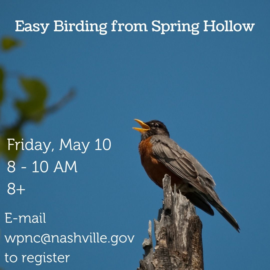 Easy Birding at Spring Hollow