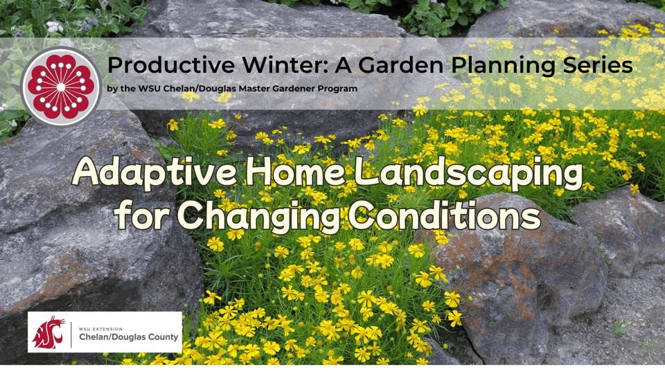 Productive Winter Series: Adaptive home landscaping for changing conditions