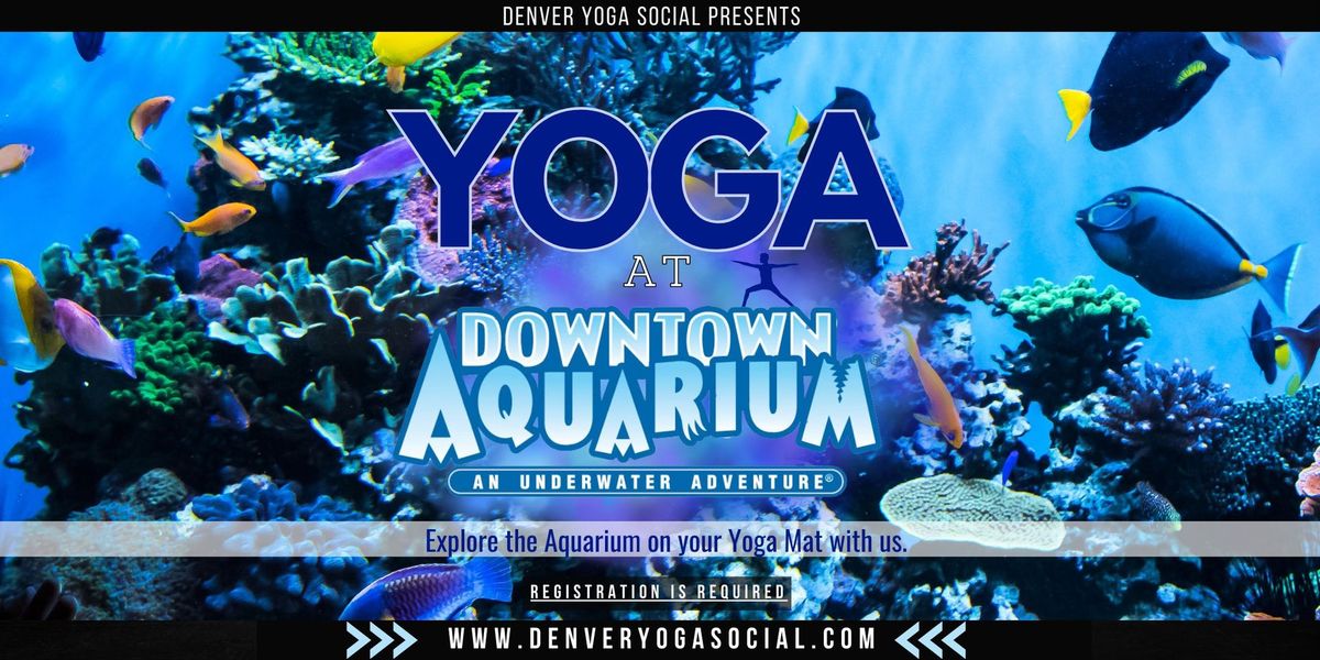 Yoga at the Denver Aquarium