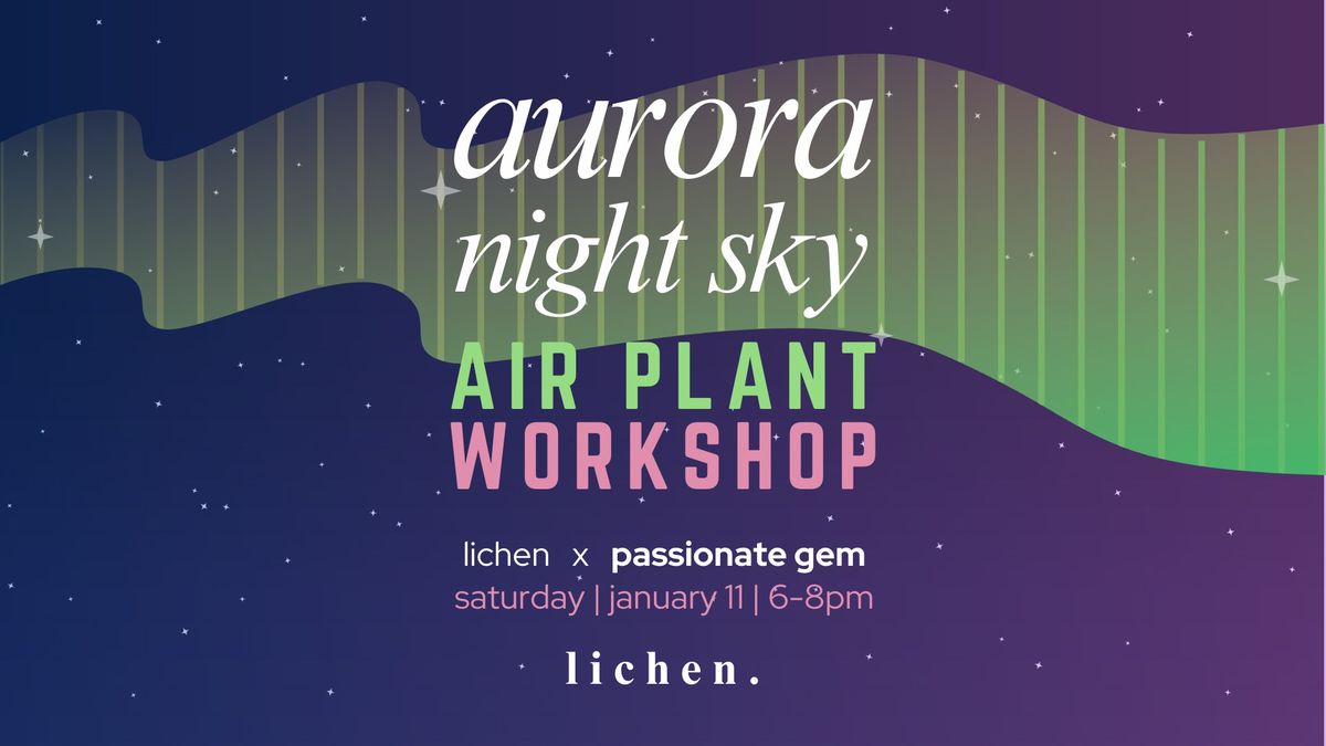 Aurora Night Sky || Air Plant Workshop with Passionate Gem