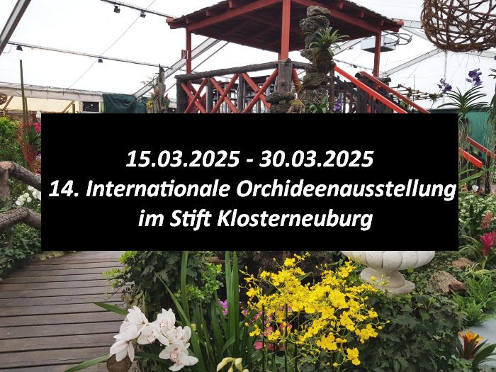 14. Internationale Orchideenausstellung 2025 