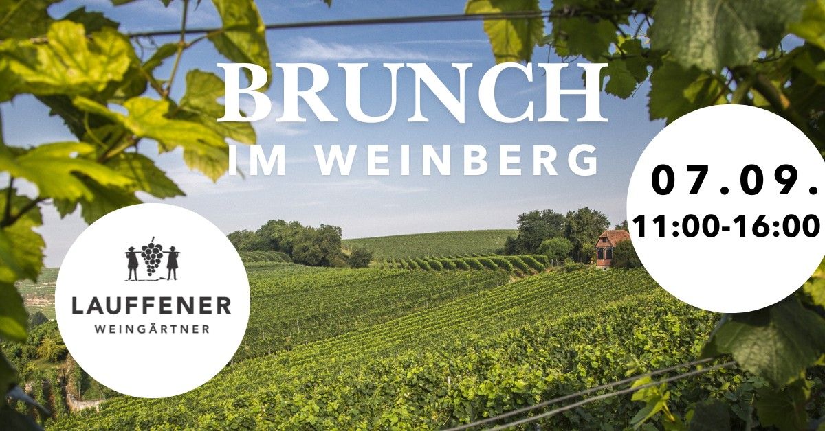 Brunch im Weinberg