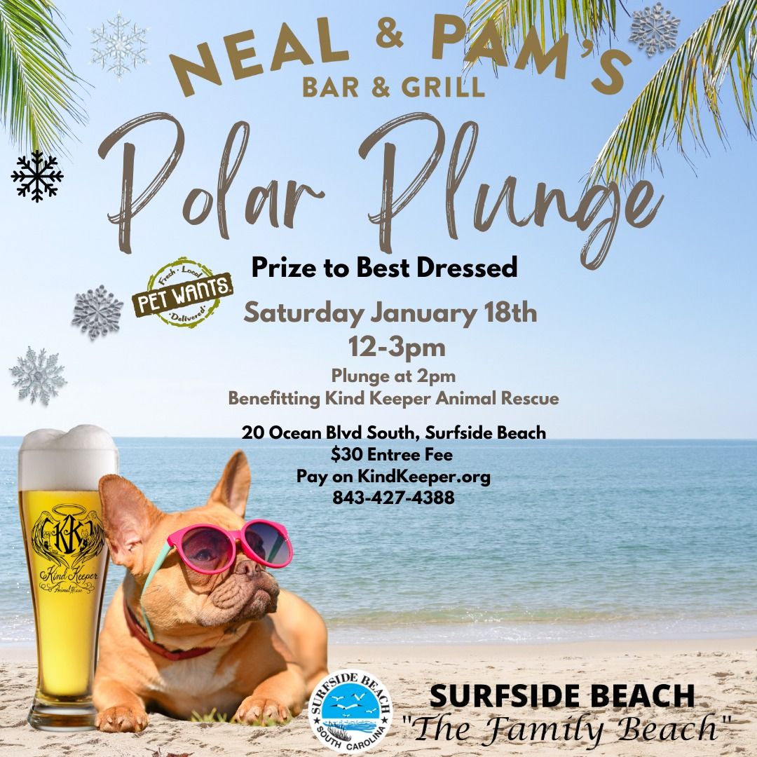 Polar Plunge @ Neal & Pam`s