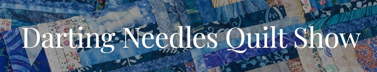 Darting Needles Quilt Show August 10th -11th, 2024 in Appleton, Wi 