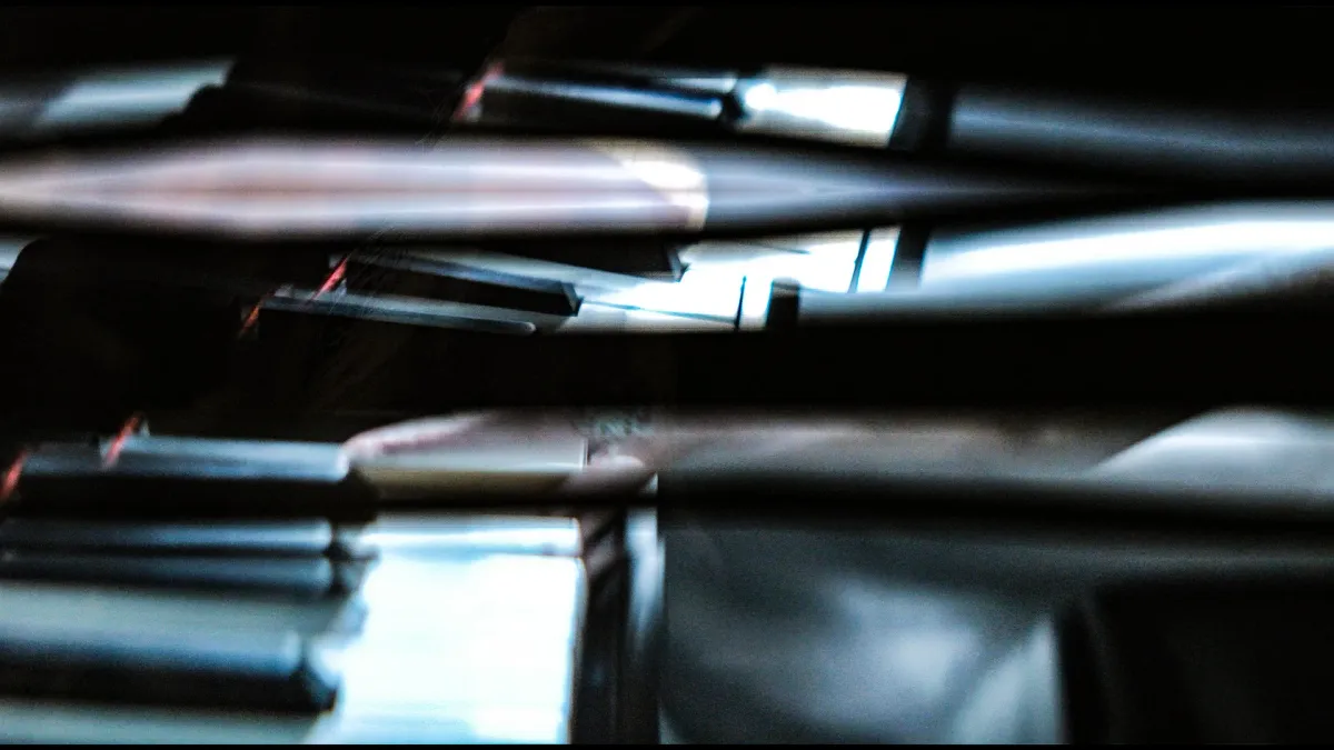 Kelly Moran, Rosa Ansch\u00fctz in Paris