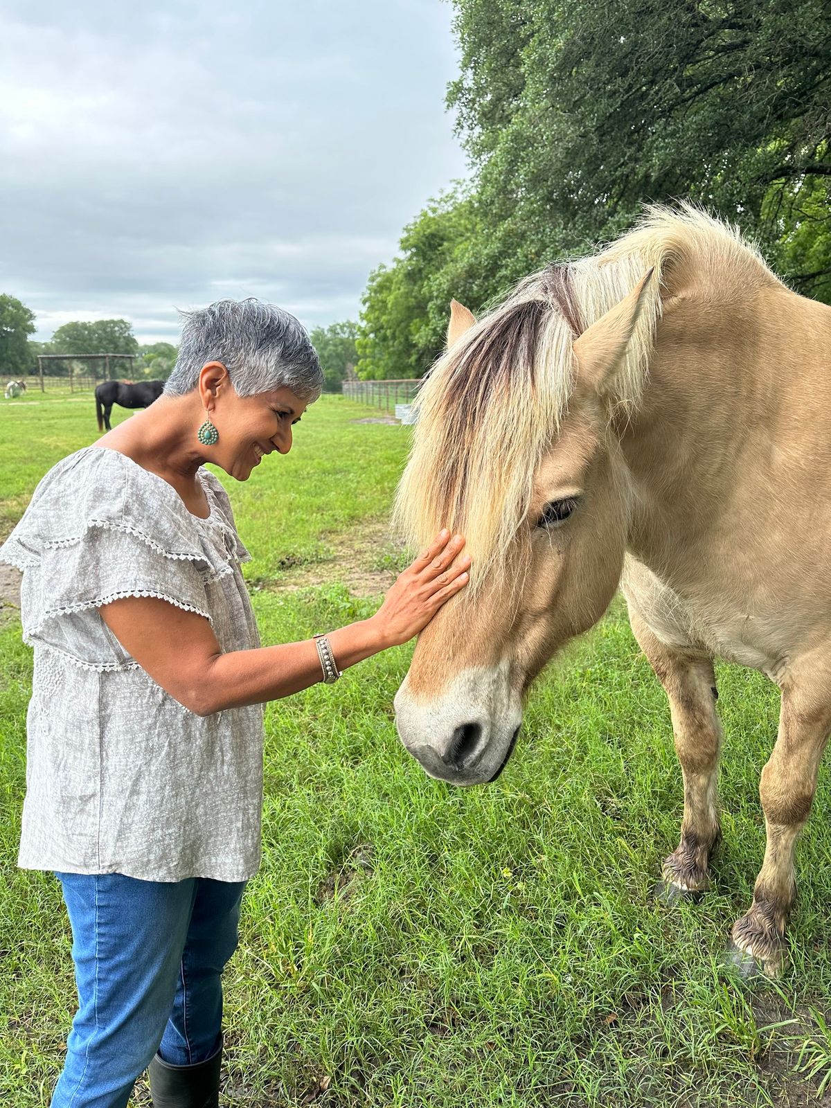 Stable Emotions: A 3-Day Training in EquineTherapy for Emotional Regulation