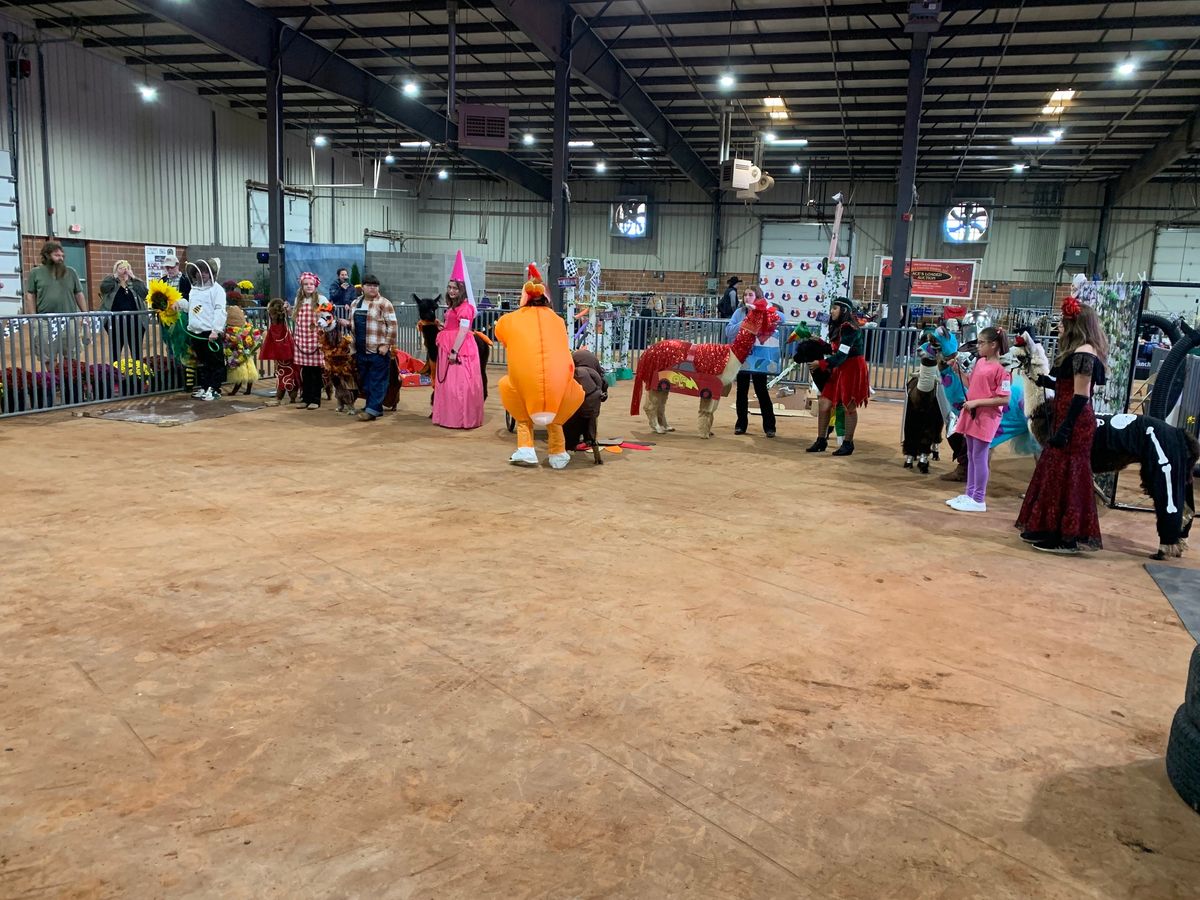 AOA National Alpaca Show