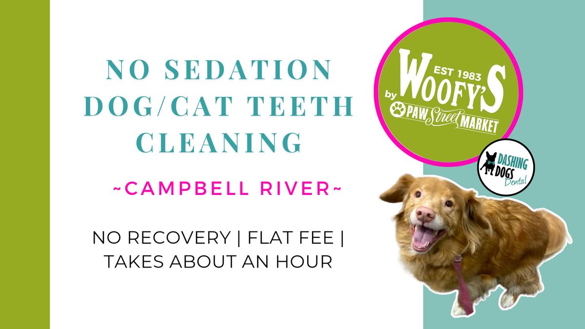 Dog & Cat Teeth Cleaning - Campbell River