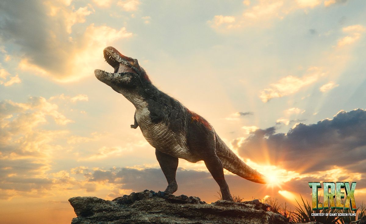 Natural History on the Big Screen: "T.REX"