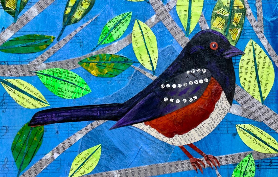 Collage Backyard Bird \u2013 Spotted Towhee with Teal Buehler