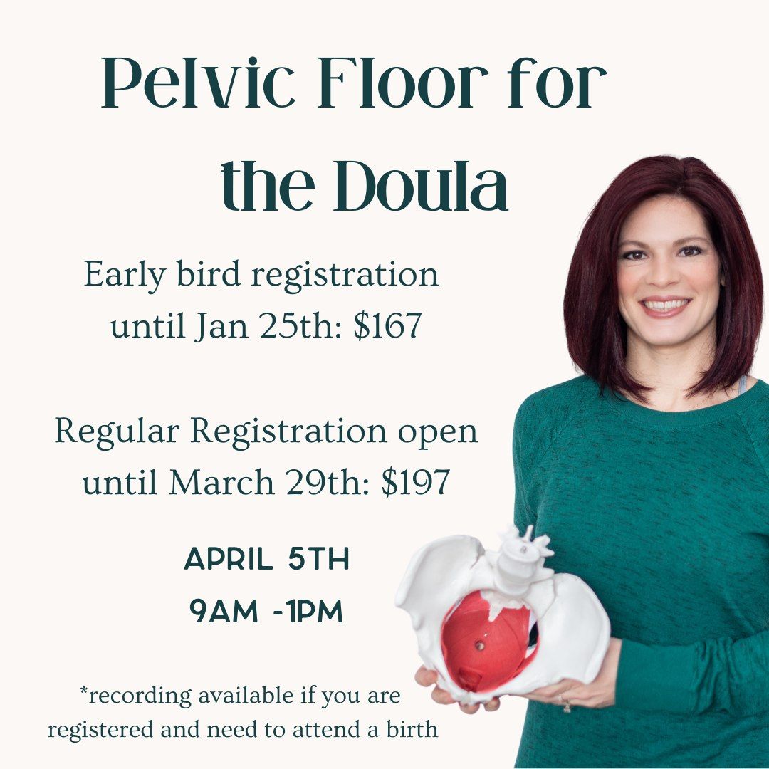 Pelvic Floor for the Doula