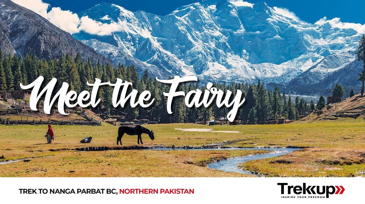 Meet the Fairy | Trek to Nanga Parbat BC