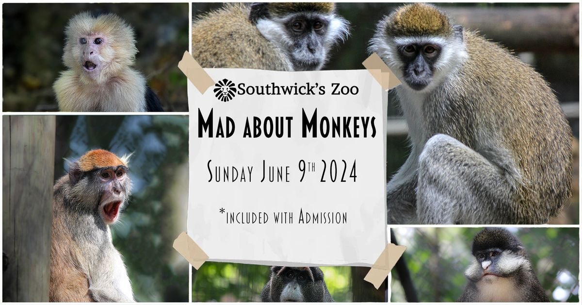 Mad About Monkeys at Southwick's Zoo