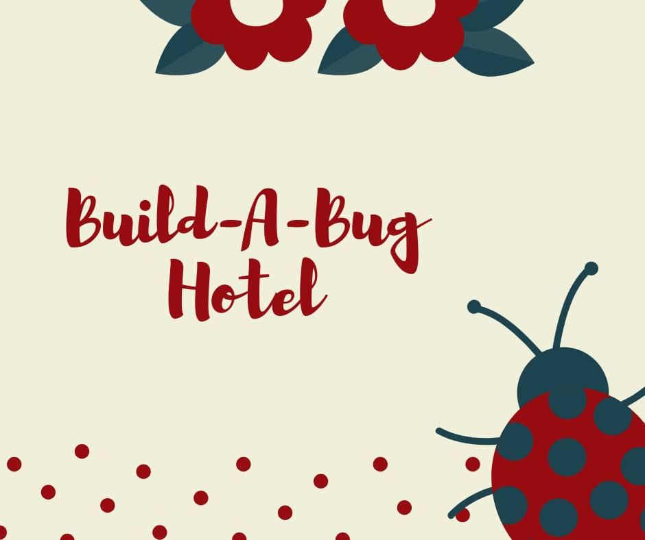 Build-A-Bug Hotel