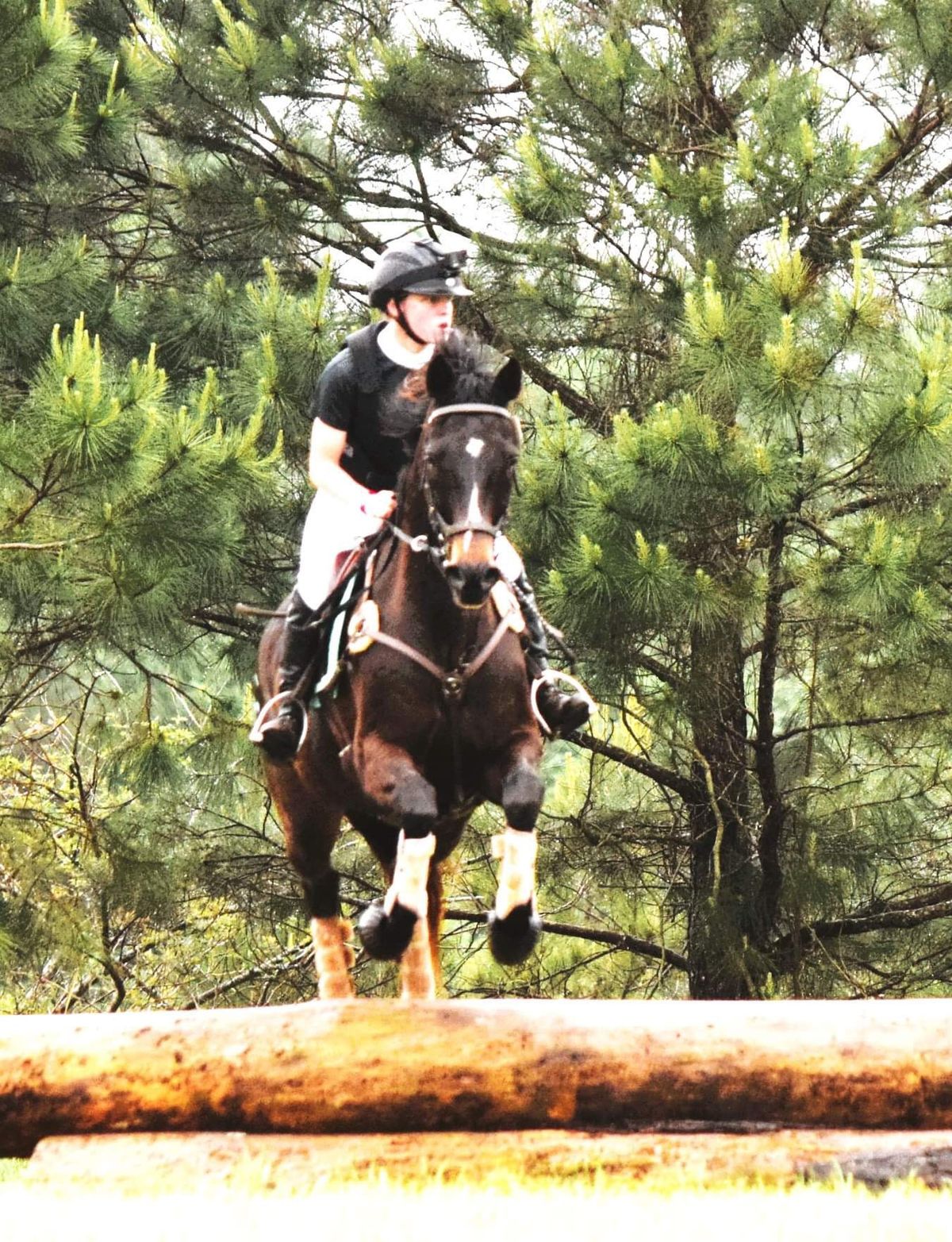 (Please don\u2019t) Fall Horse Trials 