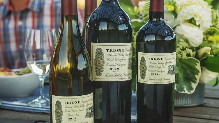 Trione Vineyards Food & Wine Pairing