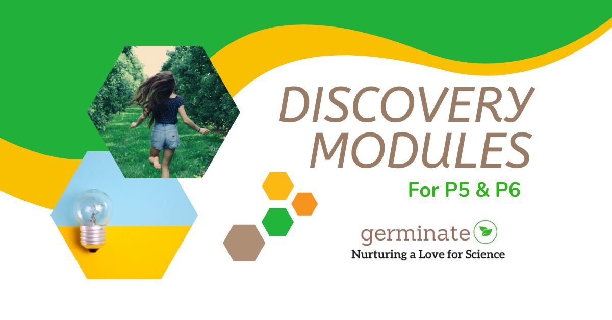 Discovery Modules for P5 & P6 2025 Students