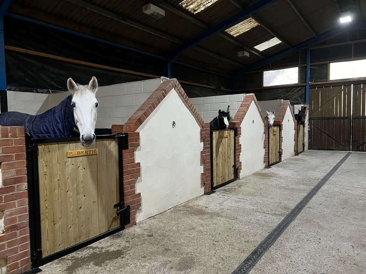 Crofton Showjumping Clinic 