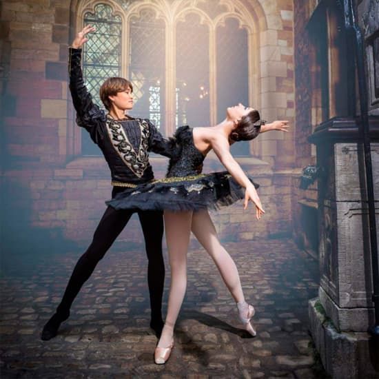 Ballet Del'Art : Grand Ballet Gala \/ Het Zwanenmeer