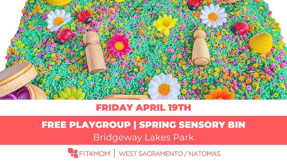 Free Playgroup | Sensory Bin