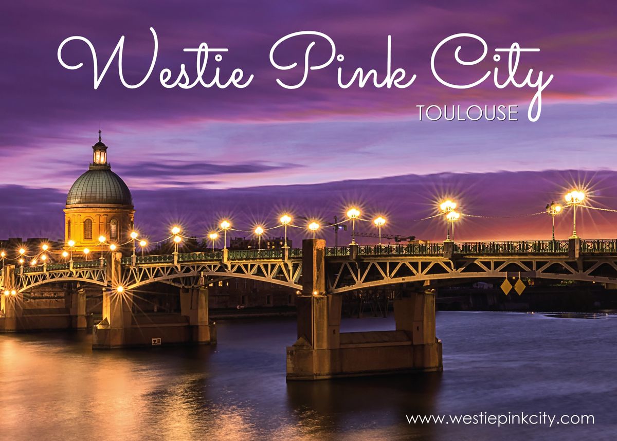 Westie Pink City 2025 - WSDC Registry Event 