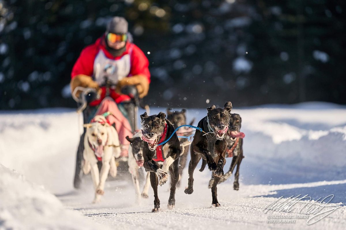 Annamaet Limited North American Championship Race