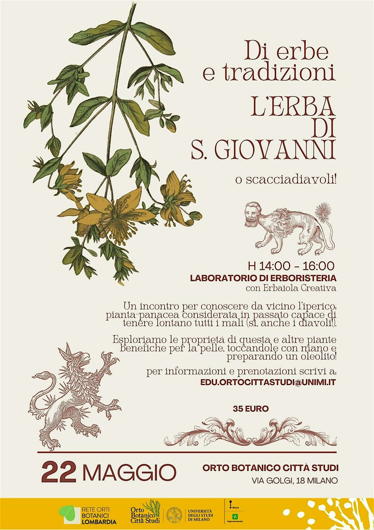 Di erbe e tradizioni - L'ERBA DI S. GIOVANNI (o scacciadiavoli!)