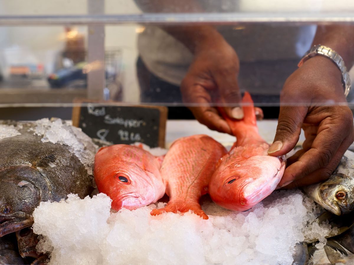 NC Catch African Americans in Seafood Discussion