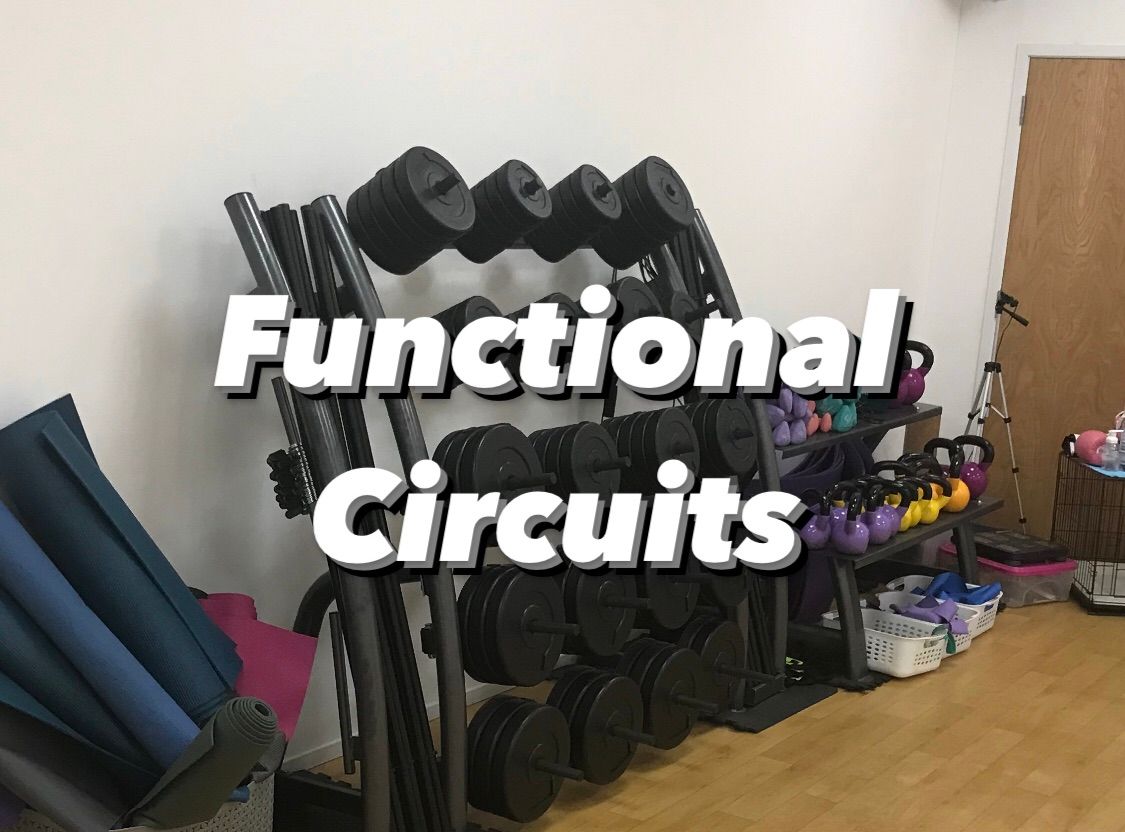 Functional Circuits 