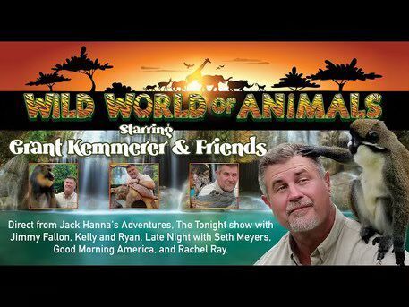 Wild World of Animals LIVE 