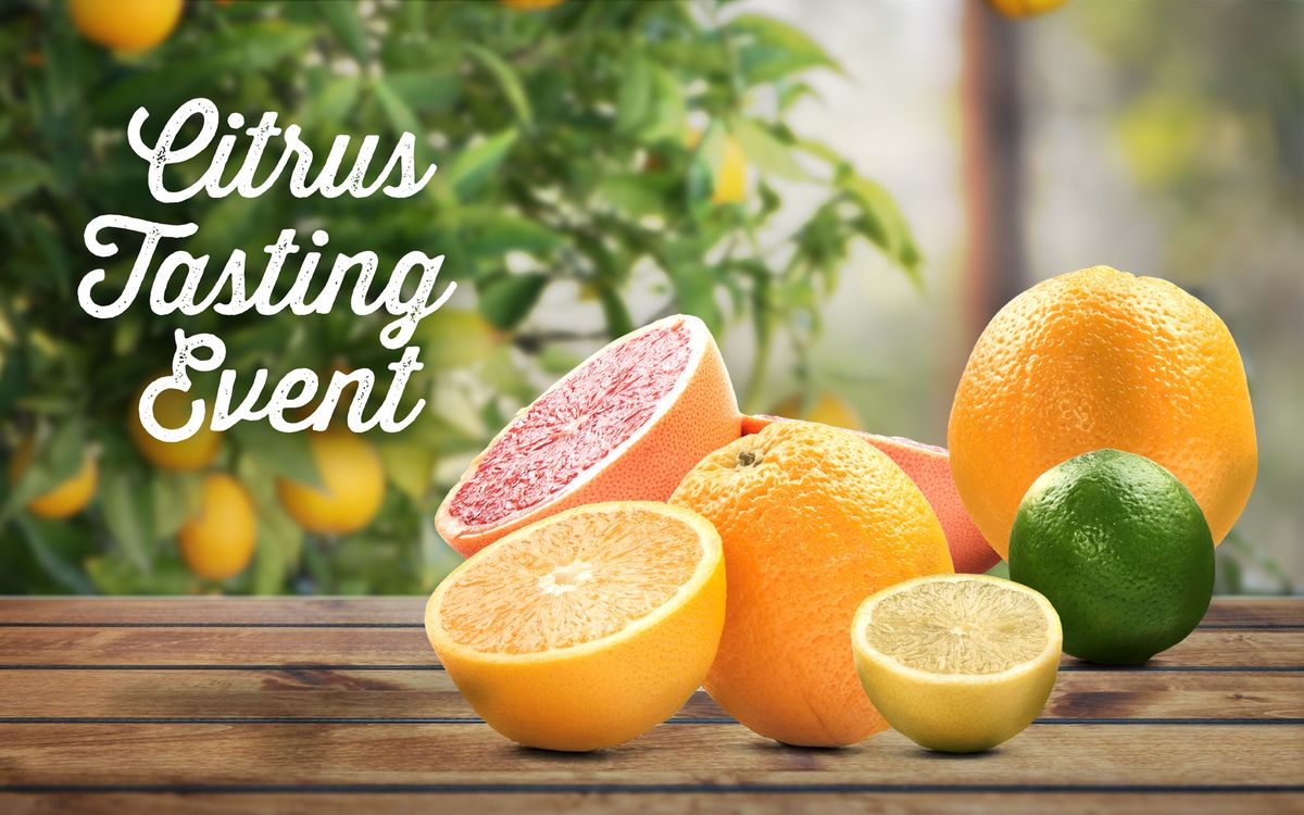 Citrus Tasting Event at Desert Horizon Nursery